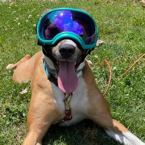 Meet your Posher, Logan